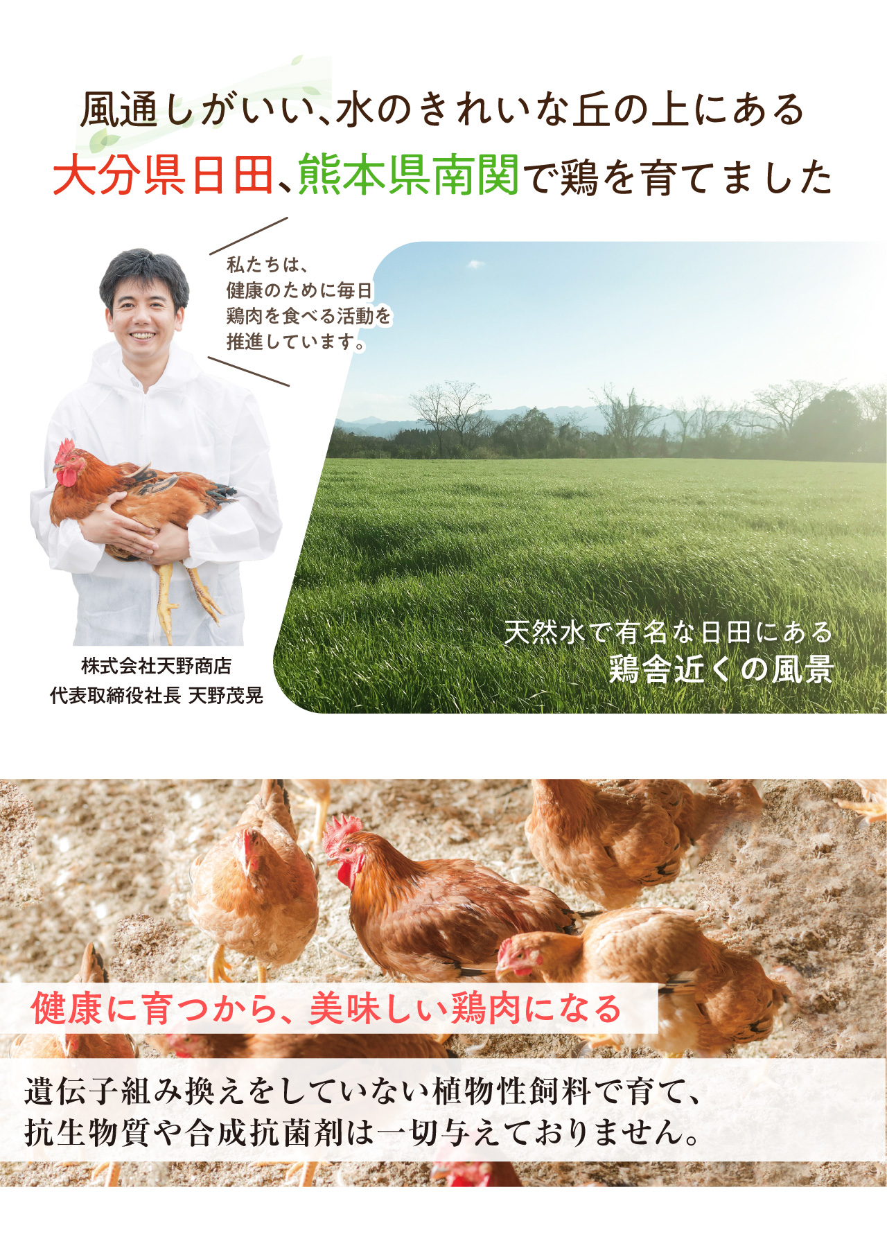 遺伝子組み換えをしていない植物性飼料で育つ鶏