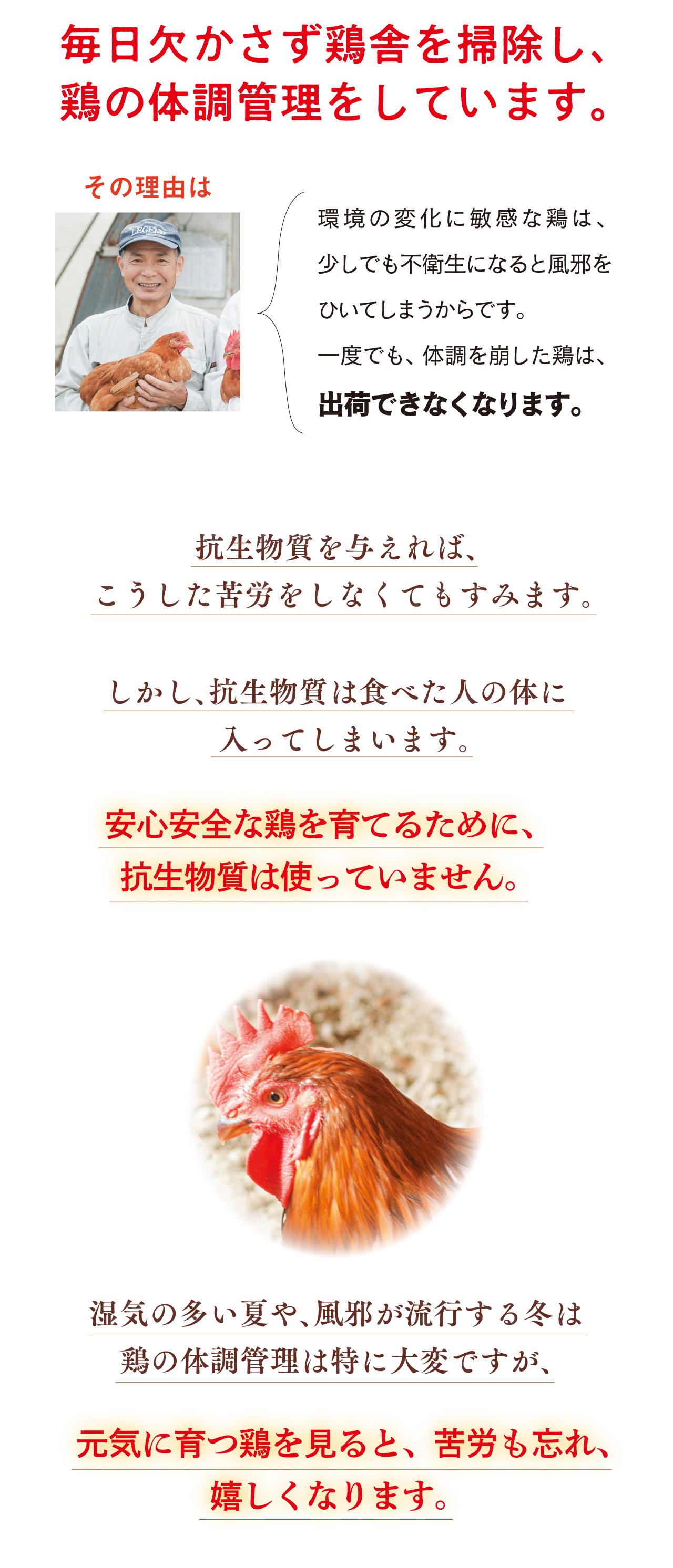 毎日たくさんの愛情で鶏を大切に育てる飼育生産者