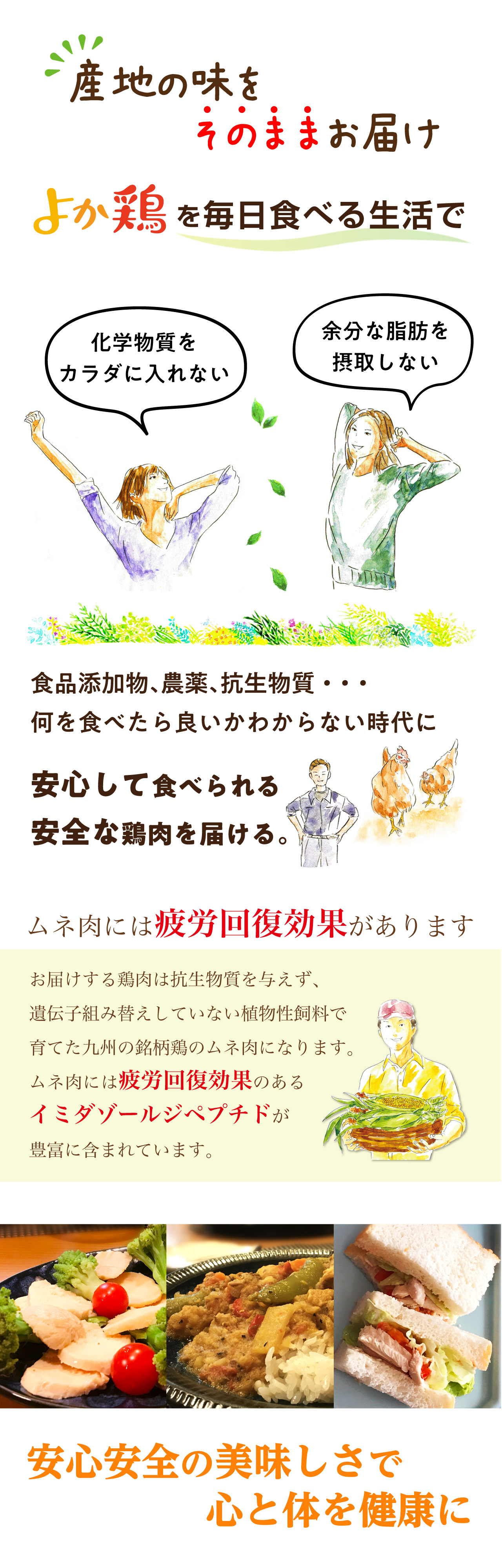 安心な美味しさで疲労回復効果のある鶏ムネ肉